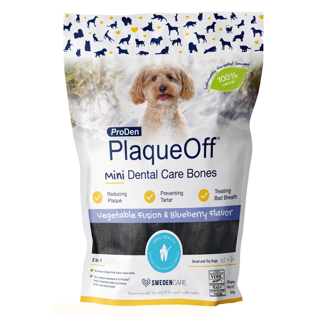 Køb Swedencare PlaqueOff Mini Dental Bones Blueberry I Med24.dk