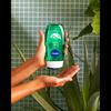 Nivea Fresh Aloe Shower - 250 ml.
