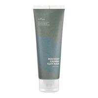 Isntree Real Mugwort Clay Mask - 100 ml.