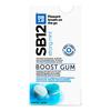 SB12 Boost tyggegummi (strong mint) - 10 stk.