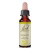 Bach Klematis - 20 ml