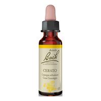 Bach Cerato - 10 ml