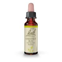 Bach Kastanieknop - 10 ml