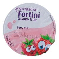 Fortini Creamy Fruit - 4 x 100 g - Bær frugt