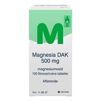 Magnesia 500mg - 100 stk