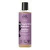 Urtekram Soothing Lavender Shampoo - 250 ml