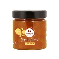 Cosmoveda Ananas Chutney Ø - 225 g.