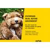 AdTab tyggetabletter til hund, 11-22 kg (450 mg) - 3 tabl.