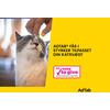 AdTab tyggetabletter til katte, 0,5-2,0 kg (12 mg) - 3 tabl.