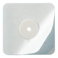 Bacxitium Aktiv Plaster til hund & kat - 1 stk.