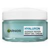 Garnier Skin Active Hyaluronic Aloe Night Jelly - 50 ml.