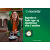 Nicorette Sugetabletter Fruit 2 mg - 40 sugetabl.