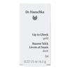 Dr. Hauschka Lip To Cheek 04 Gold - 6,1 g.