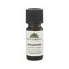 Urtegaarden Oreganoolie - 10 ml