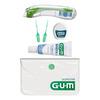 Gum Travel Kit