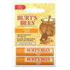 Burt's Bees Honey Lip Balm Duo Pack - 8,5 g.
