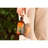 Compagnie de Provence Liquid Marseille Soap Mint Basil - 495 ml.