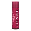 Burt's Bees Tinted Lip Balm - Daisy - 4,25 g.