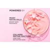 L'Oréal Paris Age Perfect Golden Age Rosy Day Cream - 50 ml.
