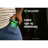 Nicorette Tyggegummi (Fruitmint), 2 mg - 30 stk