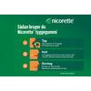 Nicorette Tyggegummi (Fruitmint), 2 mg - 30 stk