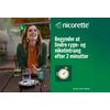 Nicorette Sugetabletter Fruit 2 mg - 160 sugetabl.