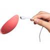 Sinful Panty Vibrator With Remote Control