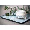 Algologie Hydra plus Hydra-Tender Cream - 50 ml.