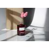 Algologie Energy plus Precious Oil Intensive Revitalisation  - 30 ml.