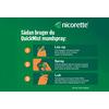 Nicorette QuickMist mundspray - 2x150doser