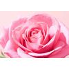 Nuxe Very Rose 3-in-1 Soothing Micellar Water - 200 ml.