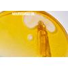 Grown Alchemist Skin Renewal Facial Oil - 25 ml.