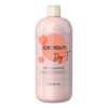 Inebrya Ice Cream Dry-T Shampoo - 1000 ml.