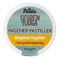 Biogan Panela Ingefær-Pastiller med Gurkemejesmag Ø - 30 g.