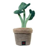 B&B Pawtanic Garden Plante - 1 stk.
