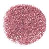 NYX Professional Makeup Face & Body Glitter Brillants - 02 Rose - 2,5 g.