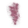 NYX Professional Makeup Face & Body Glitter Brillants - 02 Rose - 2,5 g.