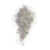NYX Professional Makeup Face & Body Glitter Brillants - 06 Crystal - 2,5 g.