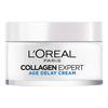 L'Oréal Paris Collagen Expert Age Delay Cream - 50 ml.