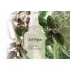 Jurlique Holy Basil & Aloe Hydrating Mist - 100 ml.