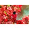 HaruHaru Wonder Rose PDRN Soothing Serum - 30 ml.