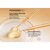 L'Oréal Paris Age Perfect Classic Micro-Collagen Peptide Serum - 30 ml.