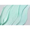 Anua PDRN Hyaluronic Acid Moisturizing Cleansing Foam - 150 ml.