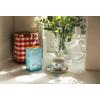 Tulsi Golden Chamomile Te Ø - 20 breve